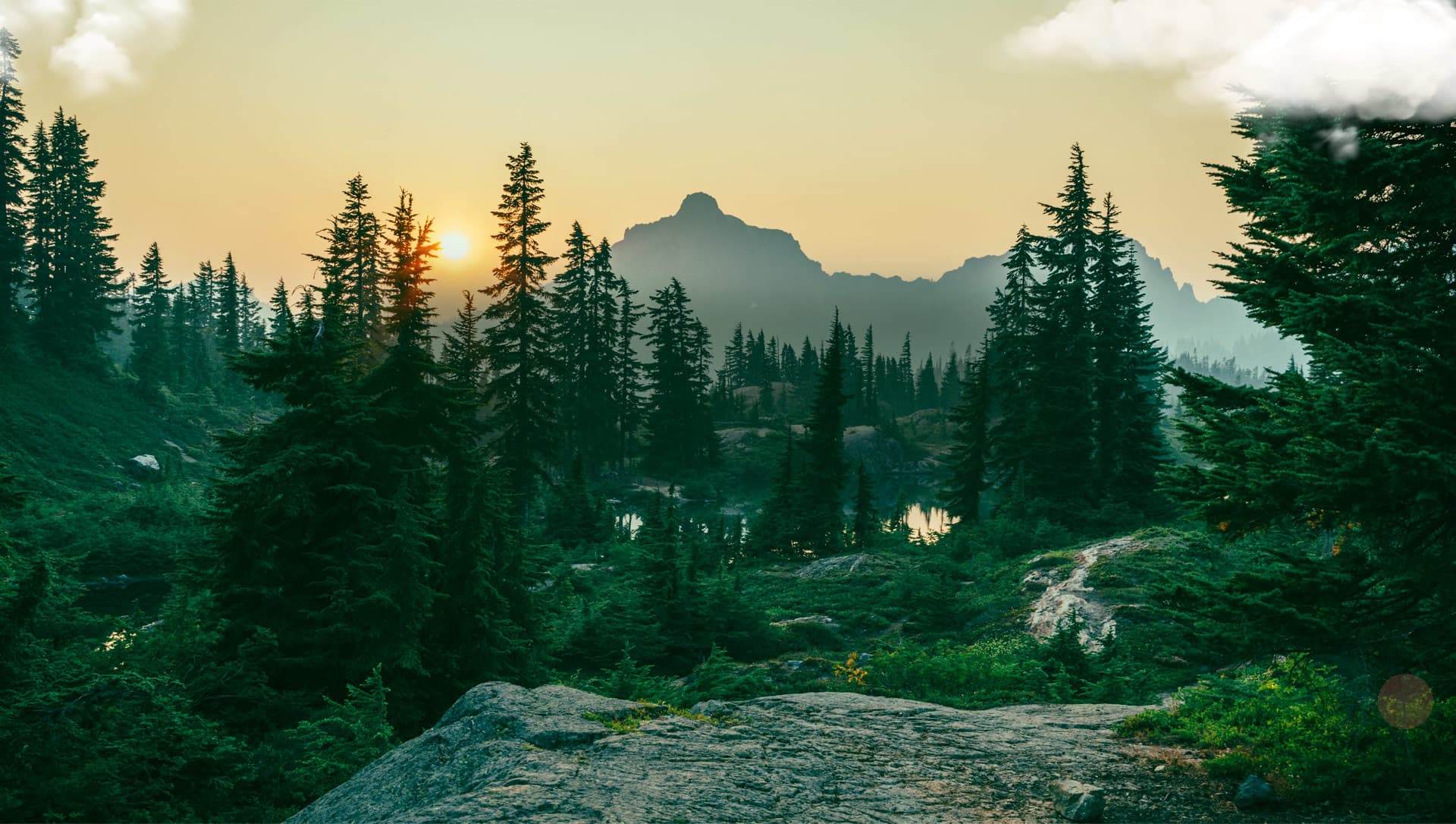 🌲 RỪNG THÔNG NÚI VOI – Viên ngọc xanh giữa đại ngàn Đà Lạt 🏞️