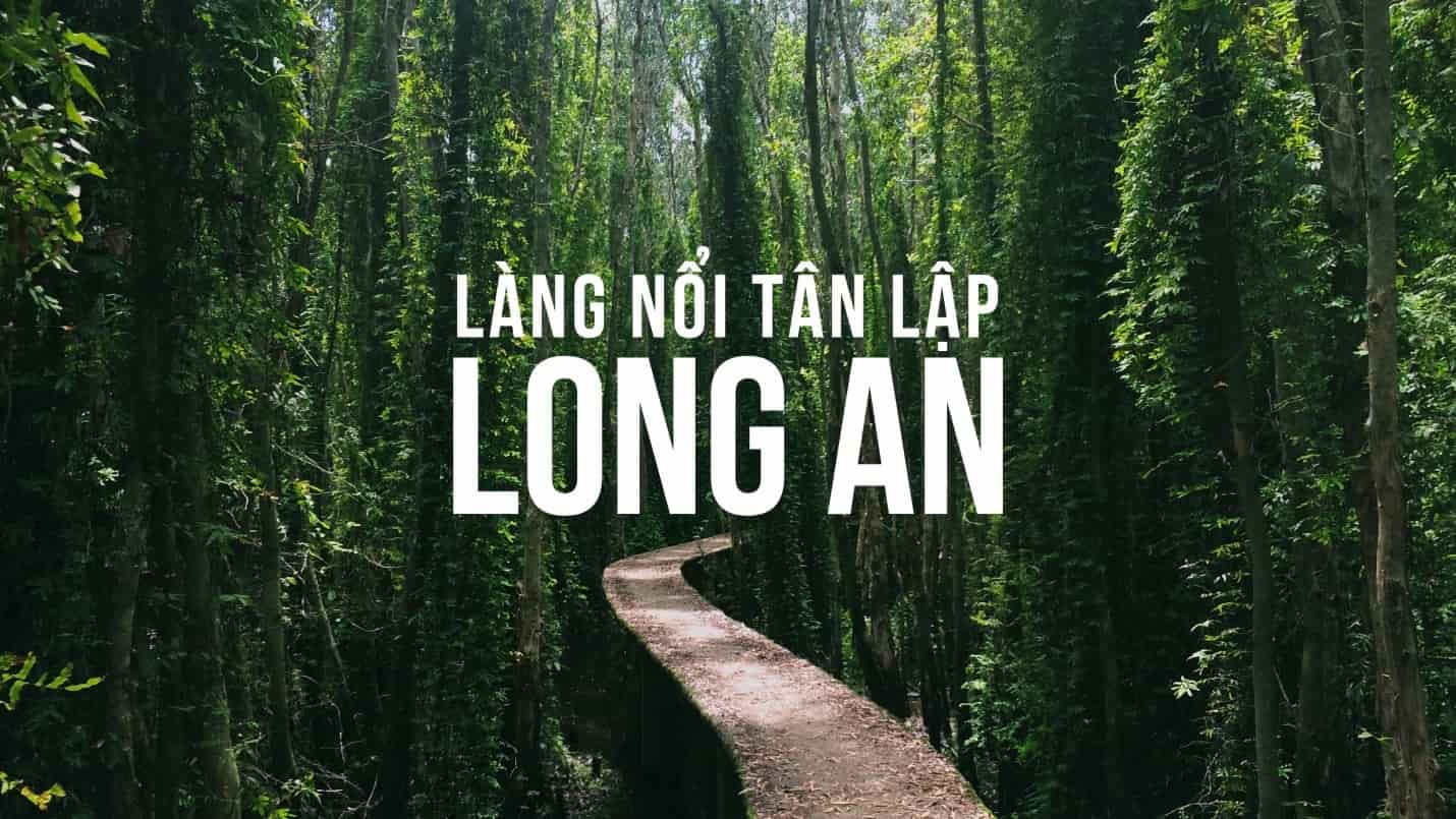 🌿 Làng Nổi Tân Lập – Hành Trình Xuyên Rừng Tràm Giữa Miền Sông Nước 🚤
