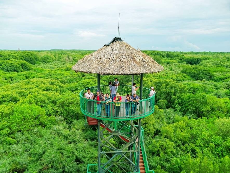 Rừng Sác Cần Giờ – Điểm đến Hoang Dã đầy hấp dẫn
